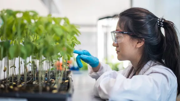 Research on alternative proteins