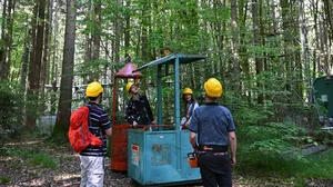 Forest excursion - Biodiversity Week Weihenstephan