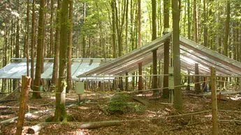 KROOF: Kranzberg Forest Roof