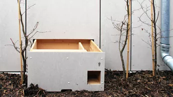 Hedgehog box