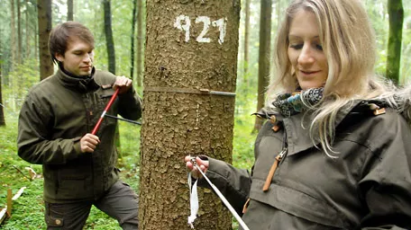 MultiForest – Management for multifunctionality in European forests in the era of bioeconomy PhD students take a tree ring sample from a tree on an experimental plot