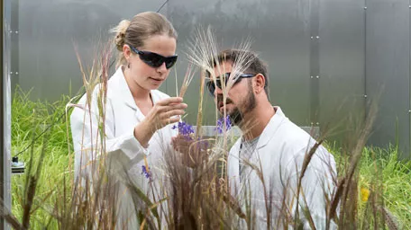 Master's degree in Agrosystem Sciences The Agrosystem Sciences cover sustainable fields that are relevant to the future.