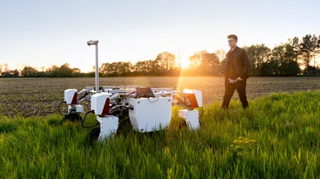 Promising market of alternative proteins How ethical, sustainable and healthy food reaches consumers.